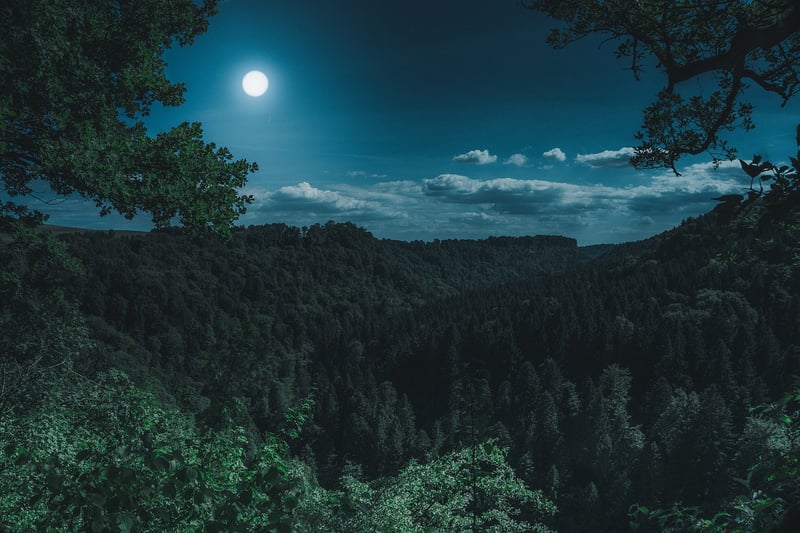 Moonlit Magic
